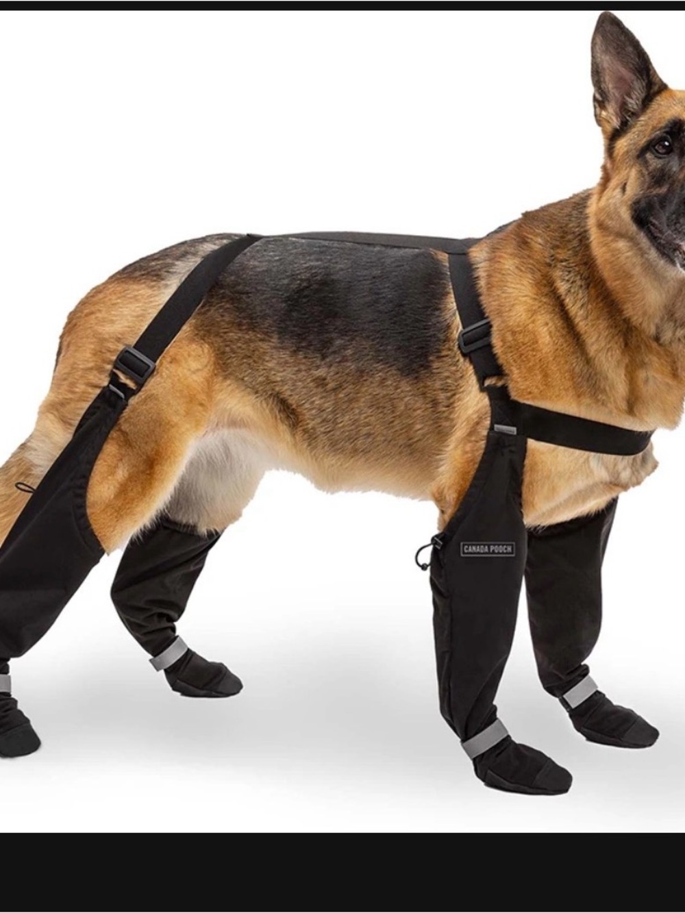 Canada Pooch Black Waterproof Dog suspender boots with Reflective Straps